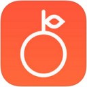 柚子练琴app