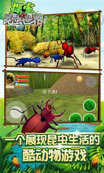 探索昆虫世界手机版