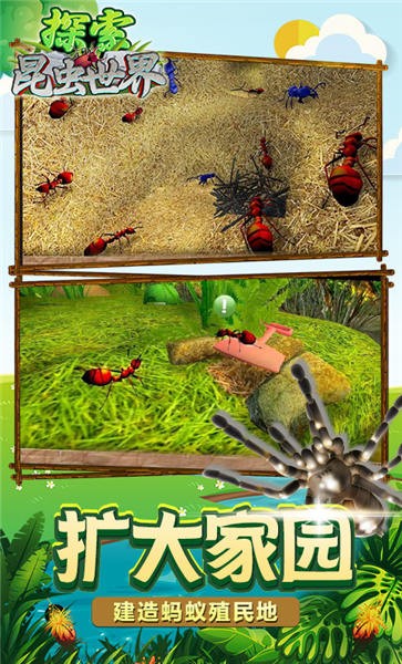 探索昆虫世界游戏下载