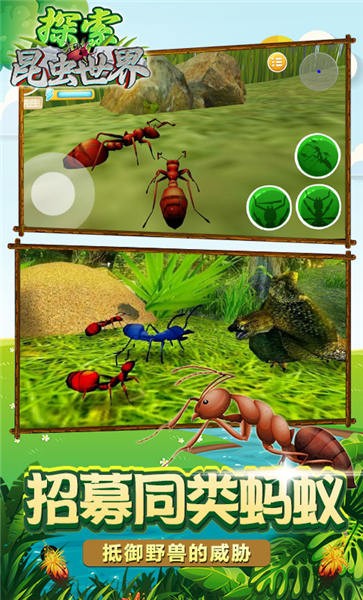 探索昆虫世界手机版