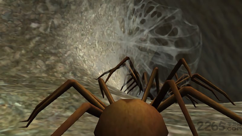 模拟蜘蛛游戏