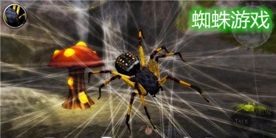 蜘蛛游戏单机游戏-蜘蛛游戏免费下载-蜘蛛游戏大全下载