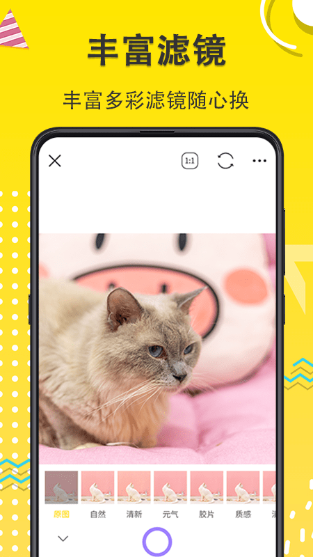 宠物动漫相机app下载