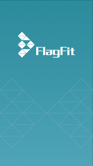 flagfit软件