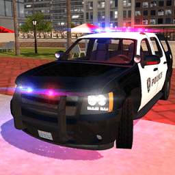 美国警察驾驶模拟器手游